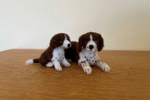 Springer & Puppy